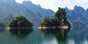 G504296443d9cb0fe61254352a8d3188487b37880e29083179d39e028bf46c2aae2124691b4e498e21d84bde668814ea494a14851cc63423a16813e224142f935 640