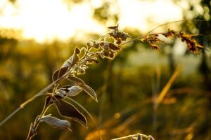 Gfb89522cc8191ca875a29cf80a9282eb8147020e925c05d0f6f91a997166c5d339b83fbd33793e073c3848a3acd04826827f2fd388459d2b916d520d020d4ed6 640